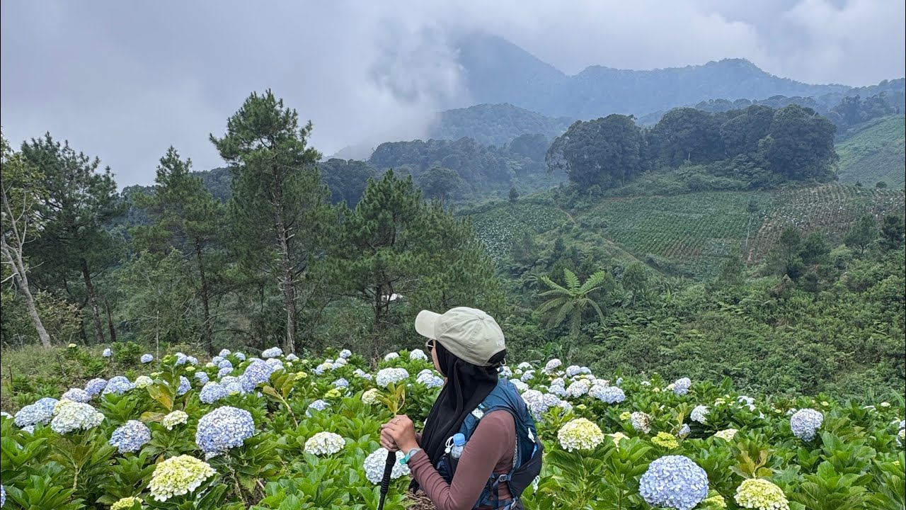 Review lengkap pendakian gunung luhur.Jalur, waktu, savana & medan berlumpur . 