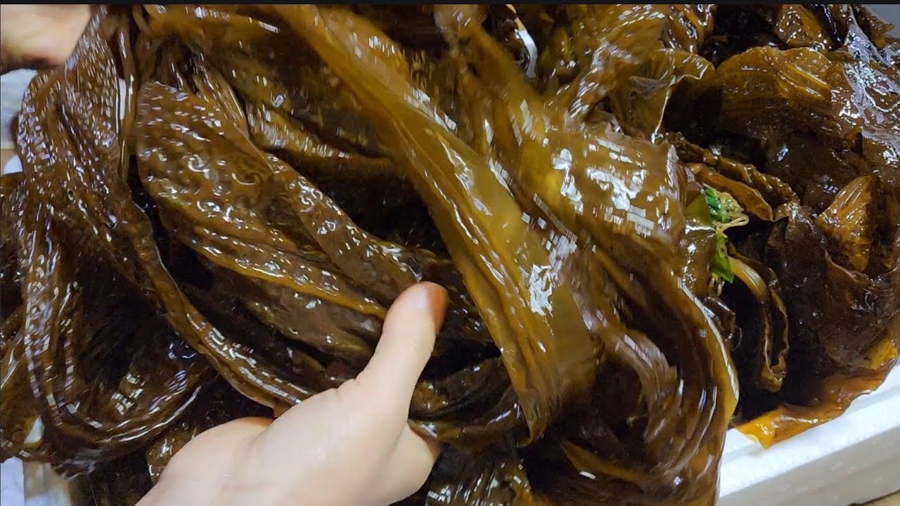 (곰피미역)쇠미역 싸고 맛있을때 넉넉하게 사서 이렇게 해 놓으세요!! 몇년을 두어도 변하지 않아 간단반찬으로 늘 먹기 좋아요/ 쇠미역염장절임 Pickled seaweed.