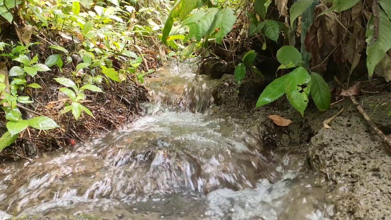 Healing River Ambience – Calm River Sounds with White Noise for Stress Relief