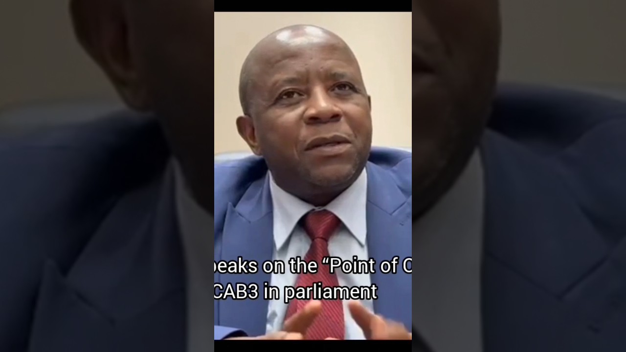 ZANU PF Chief Whip, Pupurai Togarepi addresses #CAB3 debate disruptions in Parliament #hstvzim