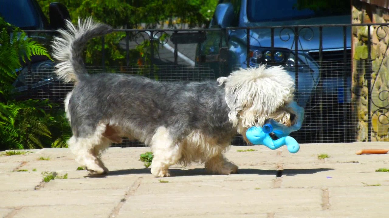Boris- Jun18