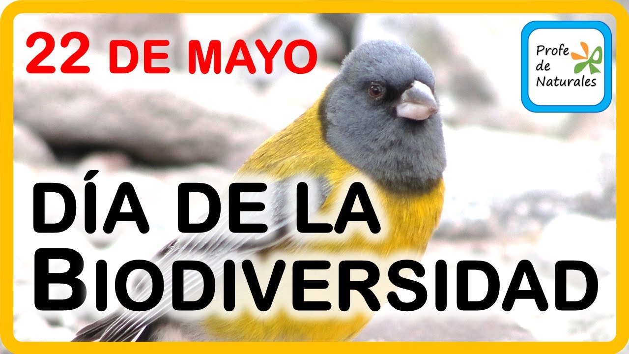 22 de mayo día de la Biodiversidad