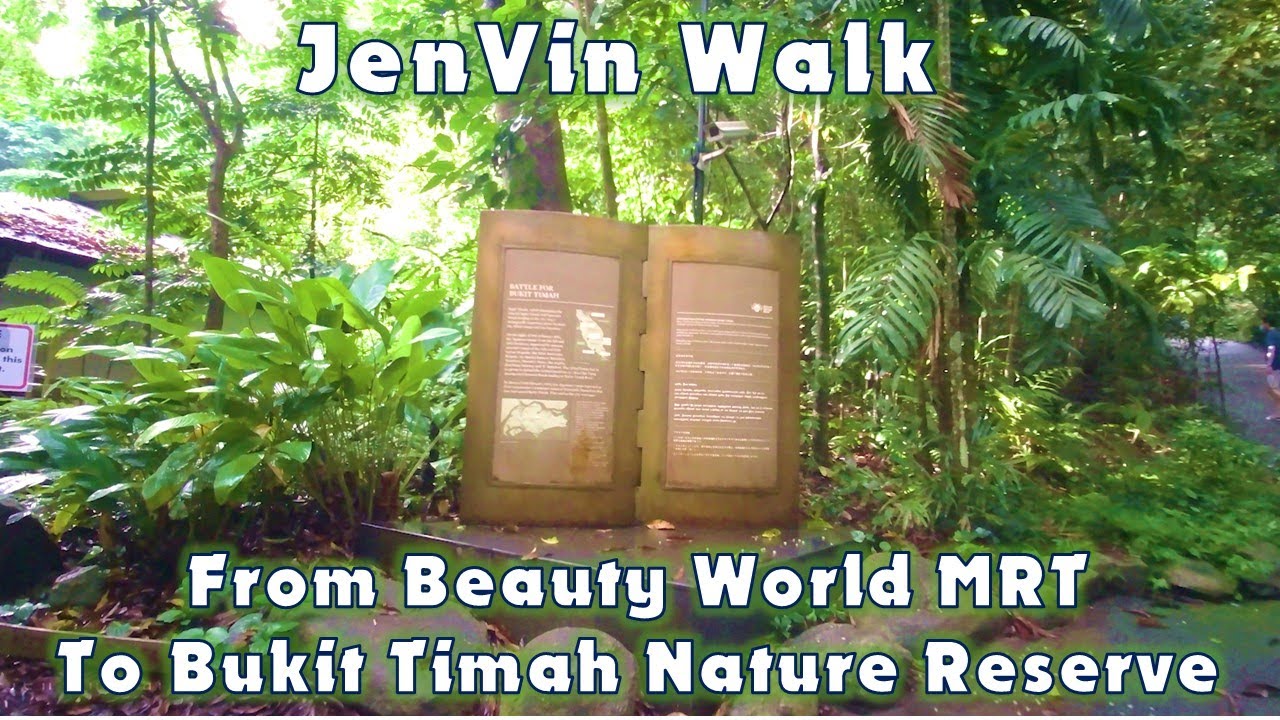 [4K] Walking from Beauty World MRT to Bukit Timah Nature Reserve (Singapore)