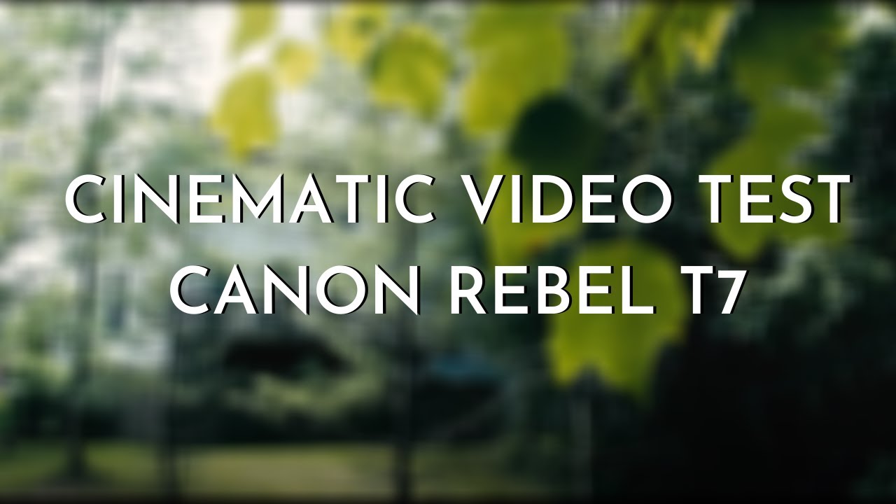 Canon Rebel T7 (EOS 2000D) Video Test