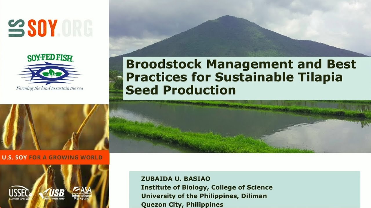 Broodstock Management and Best Practices for Sustainable Tilapia Seed Production