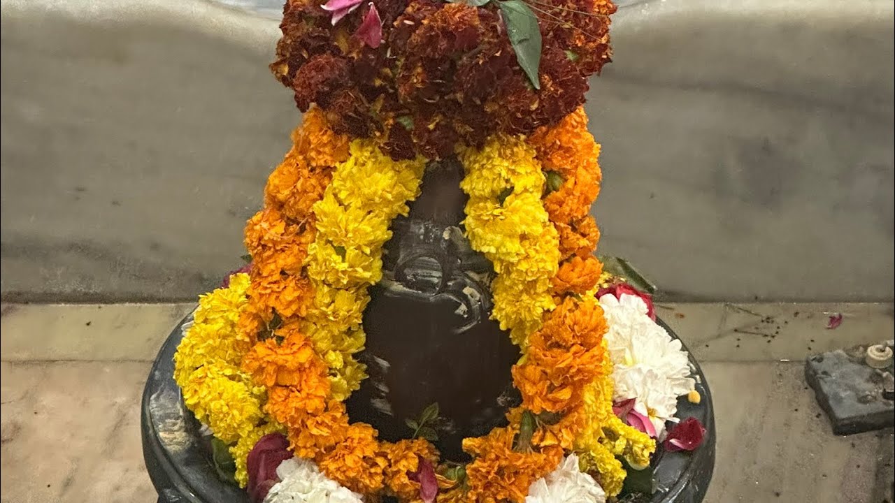 Anandmay Dhyan Yoga 
