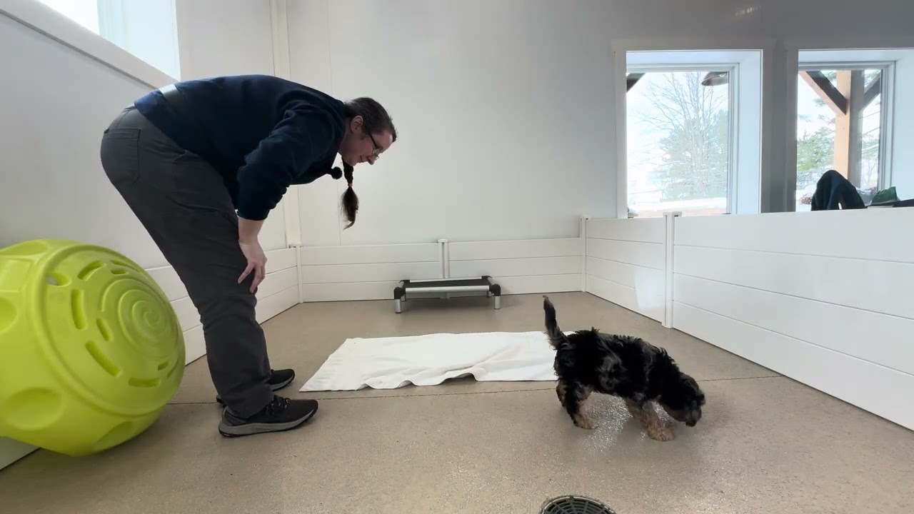 Ricky Trick Training 01/28