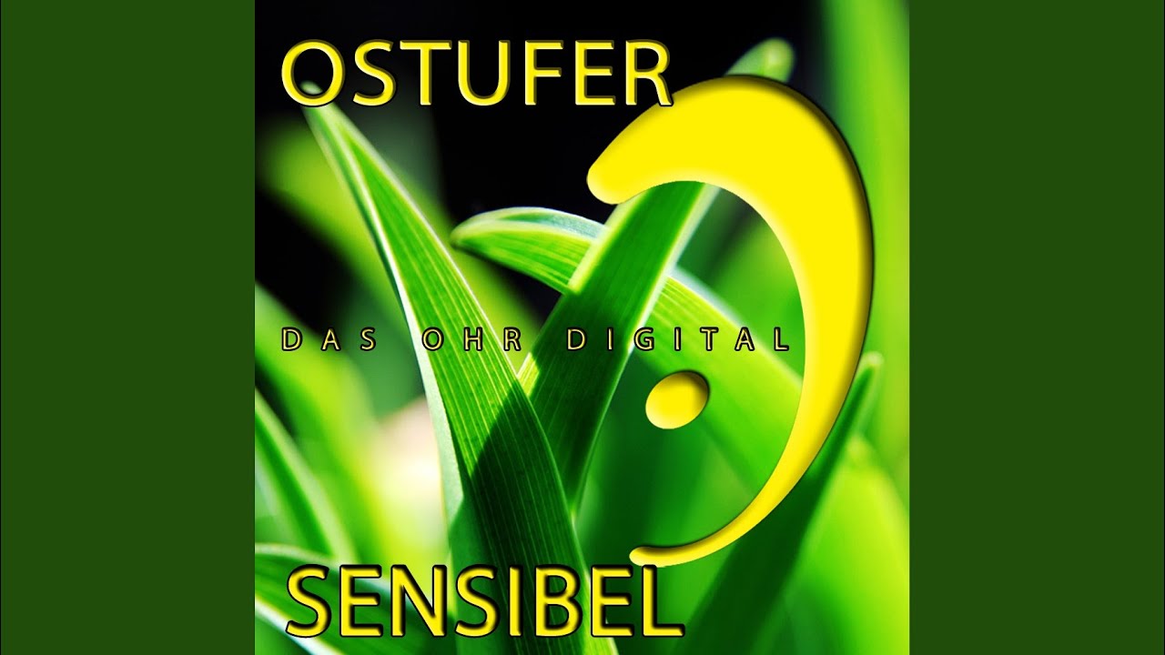 Empfindlich (Original Mix)