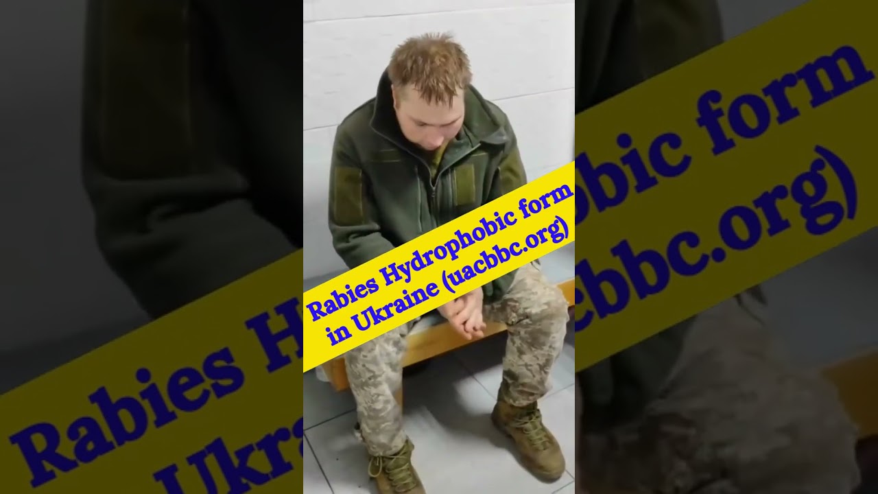 Rabies in War: A Soldier&rsquo;s Tragic Story and Ukraine&rsquo;s Epizootic Crisis