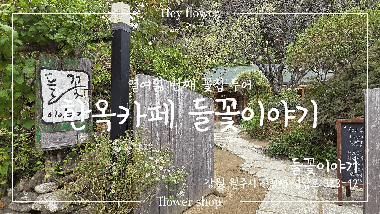 열여덟 번째 꽃집 투어 [들꽃이야기] Eighteenth flower shop tour [Wildflower Story]