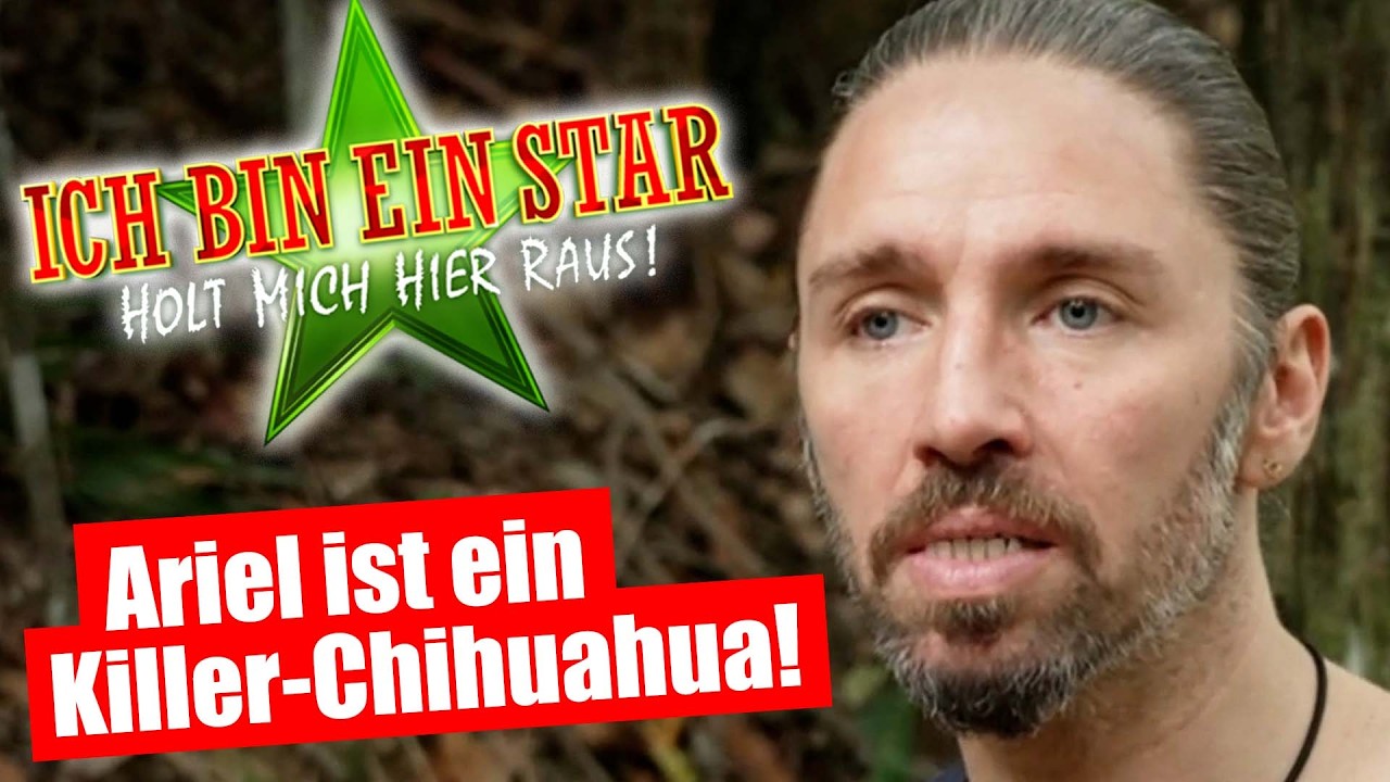 Dschungelcamp 2026: ARIEL ESKALIERT KOMPLETT!