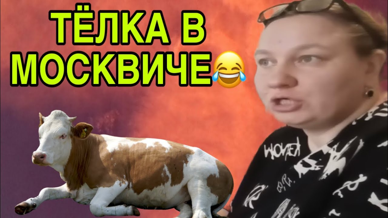 ТЁЛКА В МОСКВИЧЕ😆 ОЛЬГА ИЗ ЗАУРАЛЬЯ. ОБЗОР. 