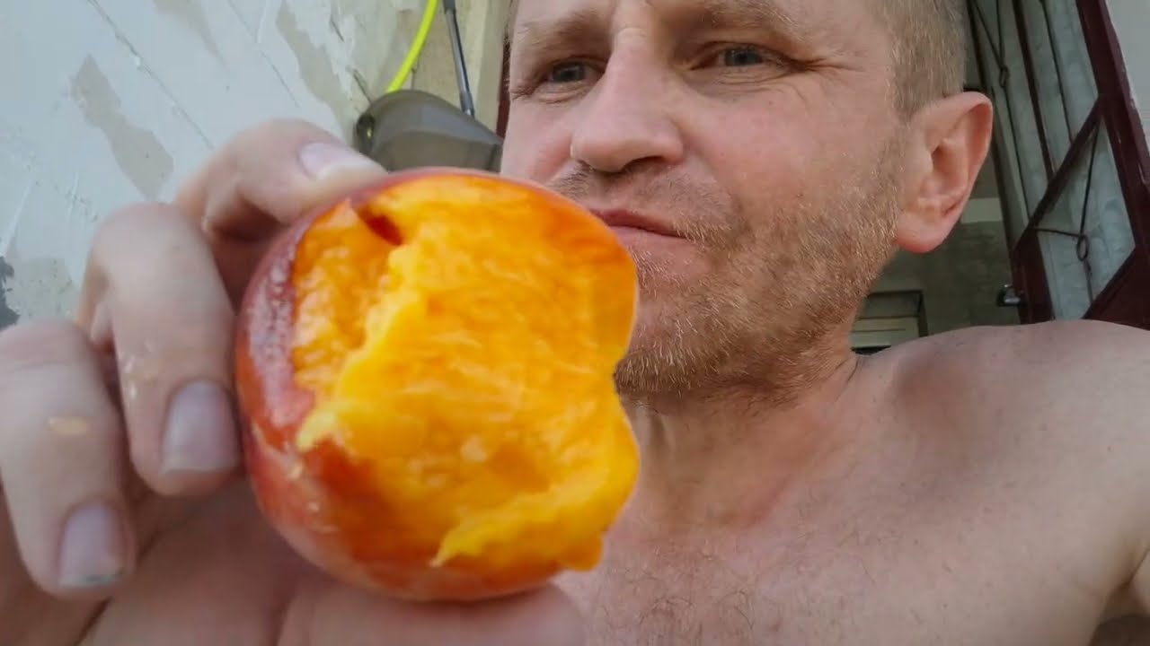 gard din plasa cu fundatie si tencuire perete de pamanat