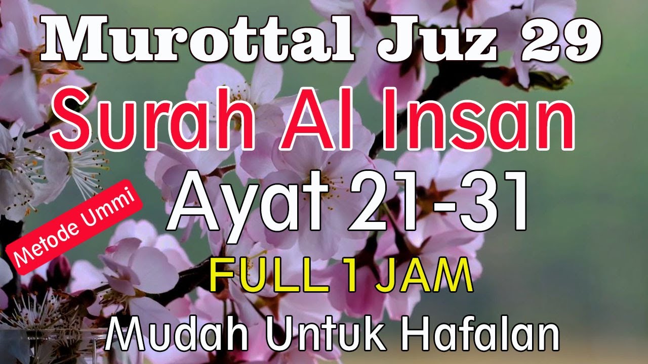 Surat Al Insan Ayat 21-31 Metode Ummi | murottal juz 29 surat al insan ayat 21 sampai 31