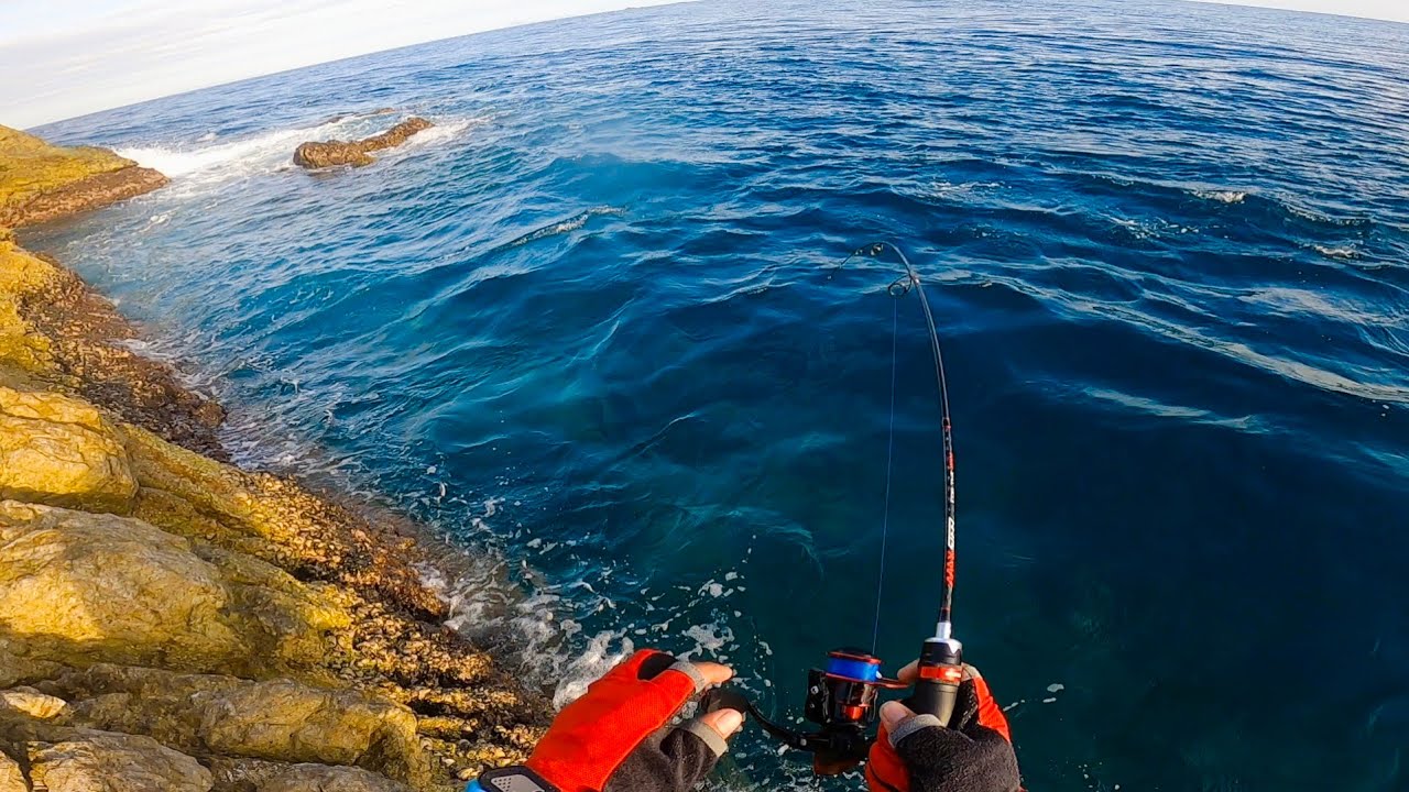 Kastking max steel rod sharky III reel | Fieldtest!!
