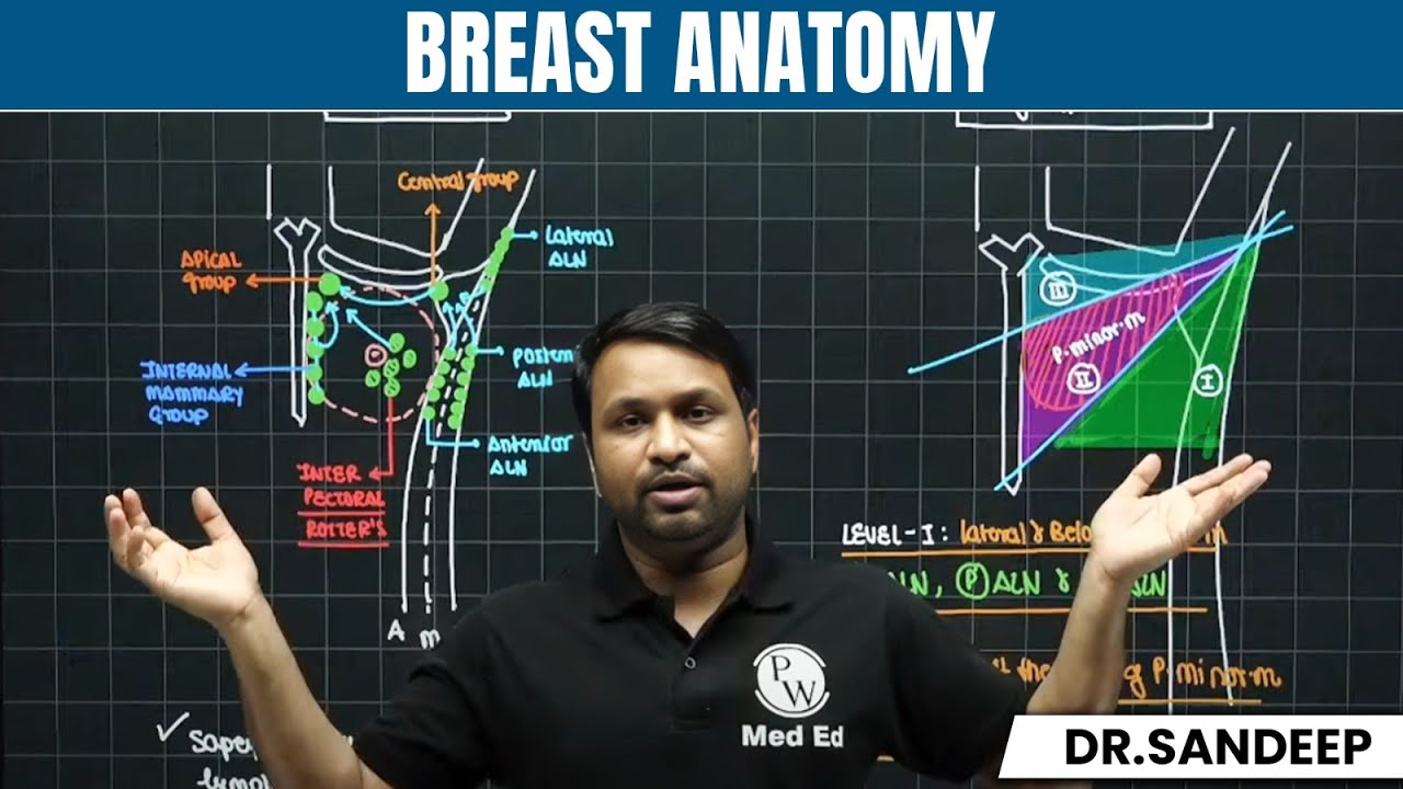 Breast Anatomy MBBS 1st Year | Surgery Lectures| Bailey Learned with Dr. Sandeep Sir | PW MedEd