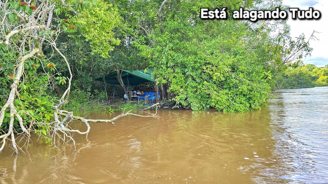 Acampamento com muita  Chuva, e presença  de  Animais na  Beira  do  Rio.