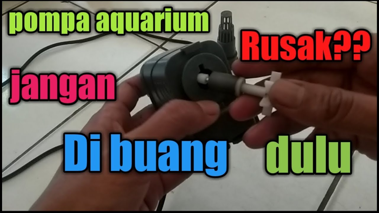 Cara memperbaiki pompa aquarium mati total | how to repair a broken aquarium pump
