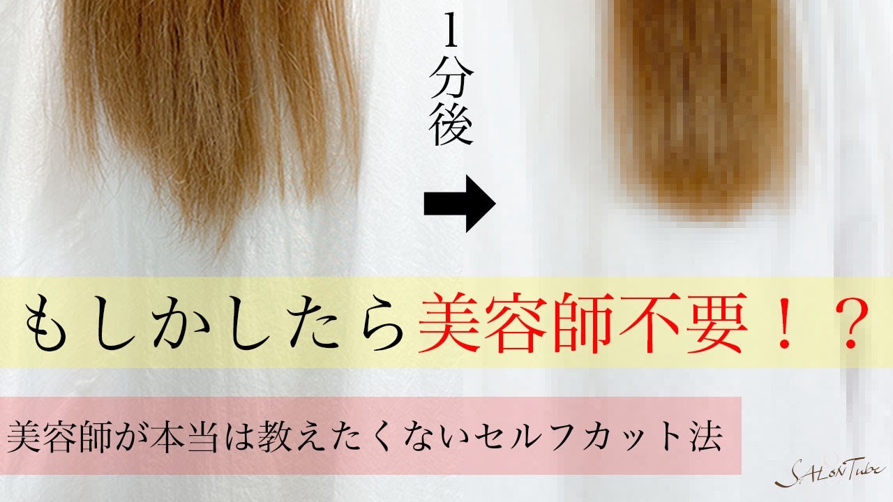 美容師が本当は教えたくない！1分で艶髪✨セルフカット方法　SALONTube 渡邊義明