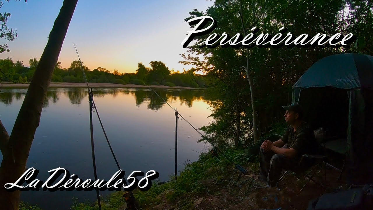 Persévérance // Pêche de la carpe en Loire.