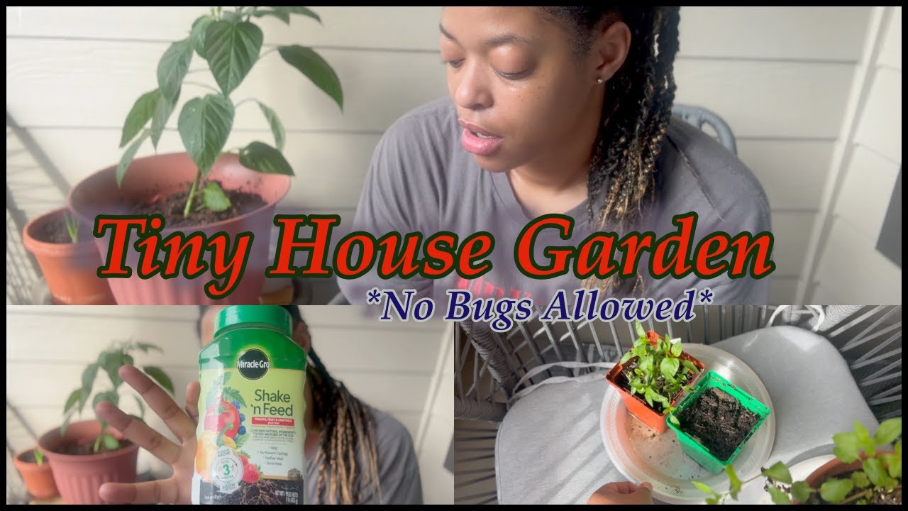 Come See My Tiny Garden| Save Money ,Ditch the bugs, and Grow easy!