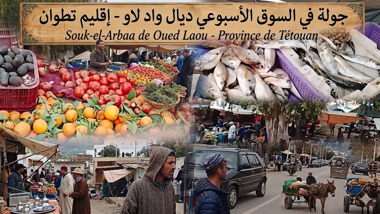 جولا في سوق ودلاو بني سعيد