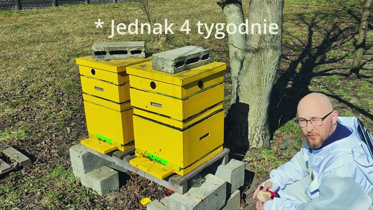 Pierwszy poważny przegląd pasieki po zimie | 14 marca | Mini Pasieka