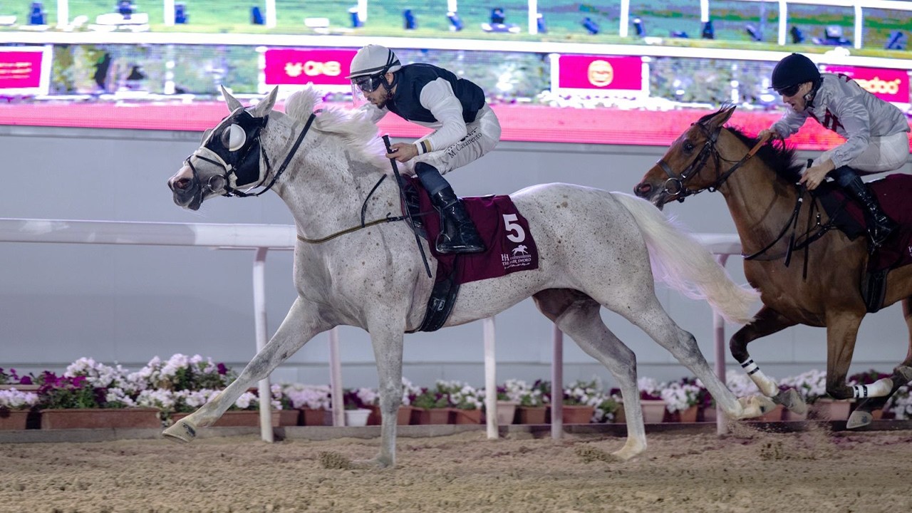 RM 49  Al Rayyan Race 7 -  H.H. The Amir Sword Festival - Day 2