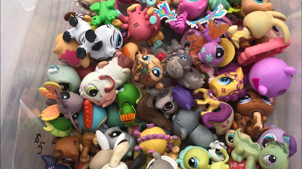 Huge Lps Flea Market Hunt!