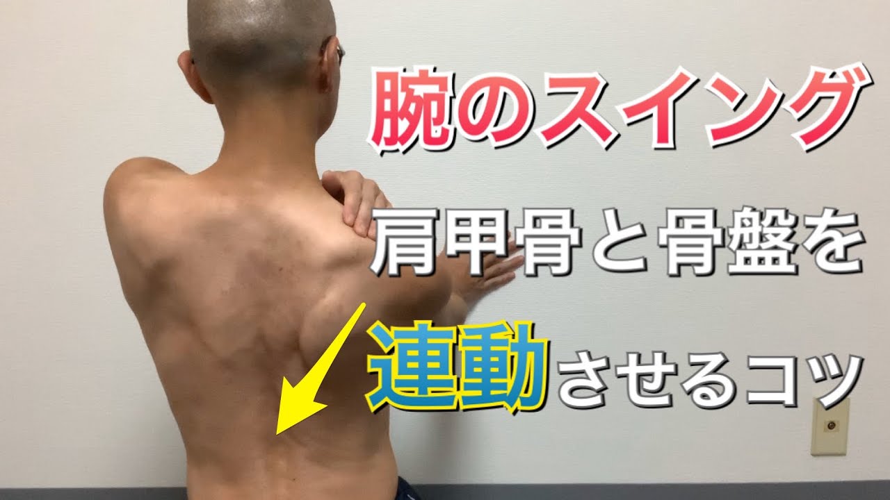 腕の振りは肩甲骨と骨盤の動きはコレだ！