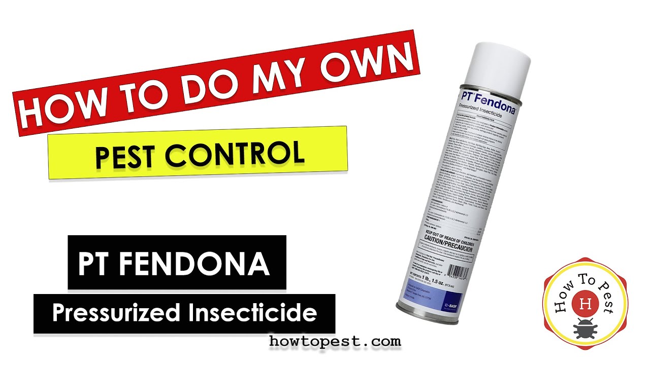 How To Do My Own Pest Control - PT Fendona Pressurized Insecticide - BASF
