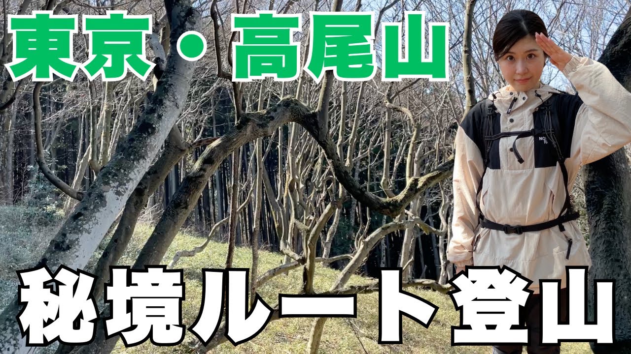 高尾山に最高な秘境ルートがあった！