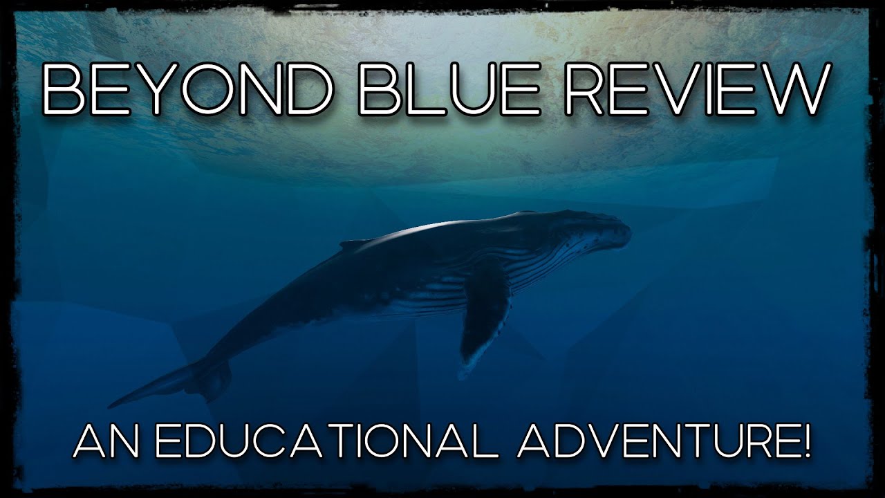 Beyond Blue Review