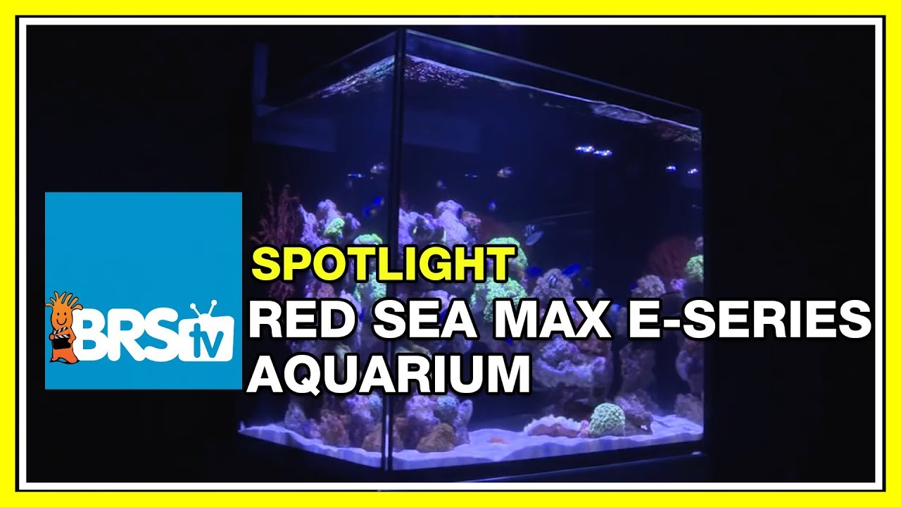 How to set up an all in one (AIO) reef tank - Rea Sea Max E-Series | BRStv Spotlight
