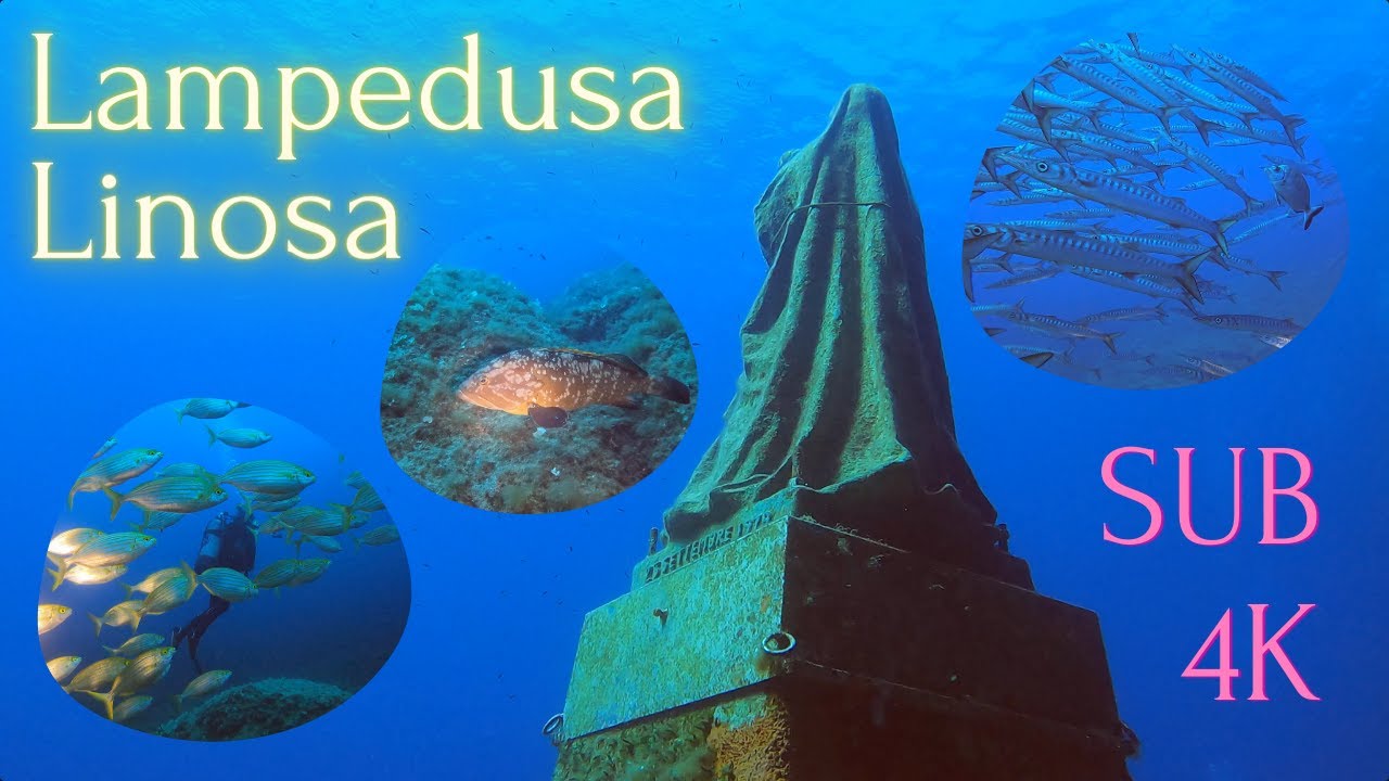 Lampedusa & Linosa Dives 2022 - Immersioni Sub in 4K