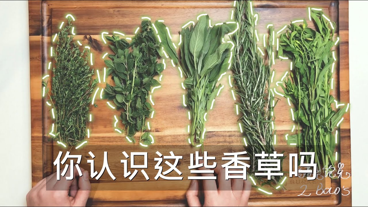 【识别香草】带你认识西餐中常用的五种香草 Five Herbs in Cooking