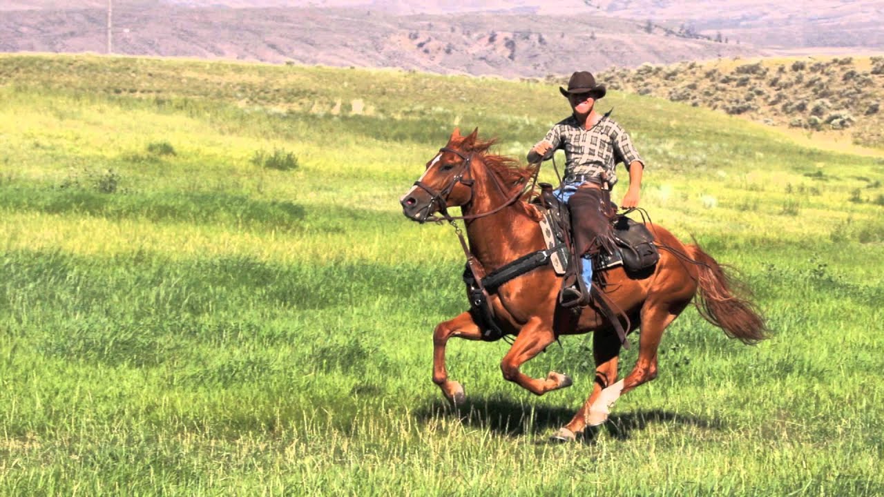 The Wranglers of Sundance Guest Ranch