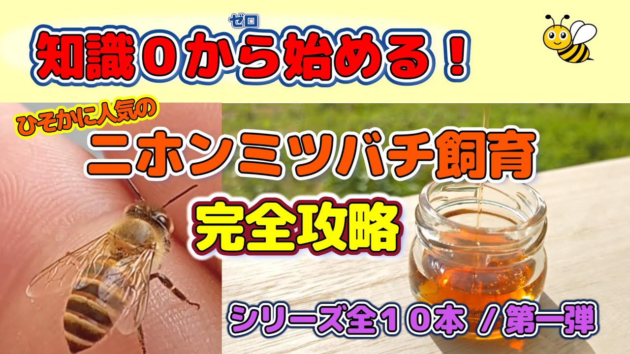 初心者必見！これから始めるニホンミツバチ養蜂完全攻略。知識ゼロから巣箱の作り方から蜂蜜の採取までを全１０本にてお伝えします。