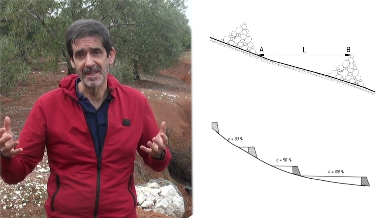 Cárcavas en el olivar Estrategias y Prácticas