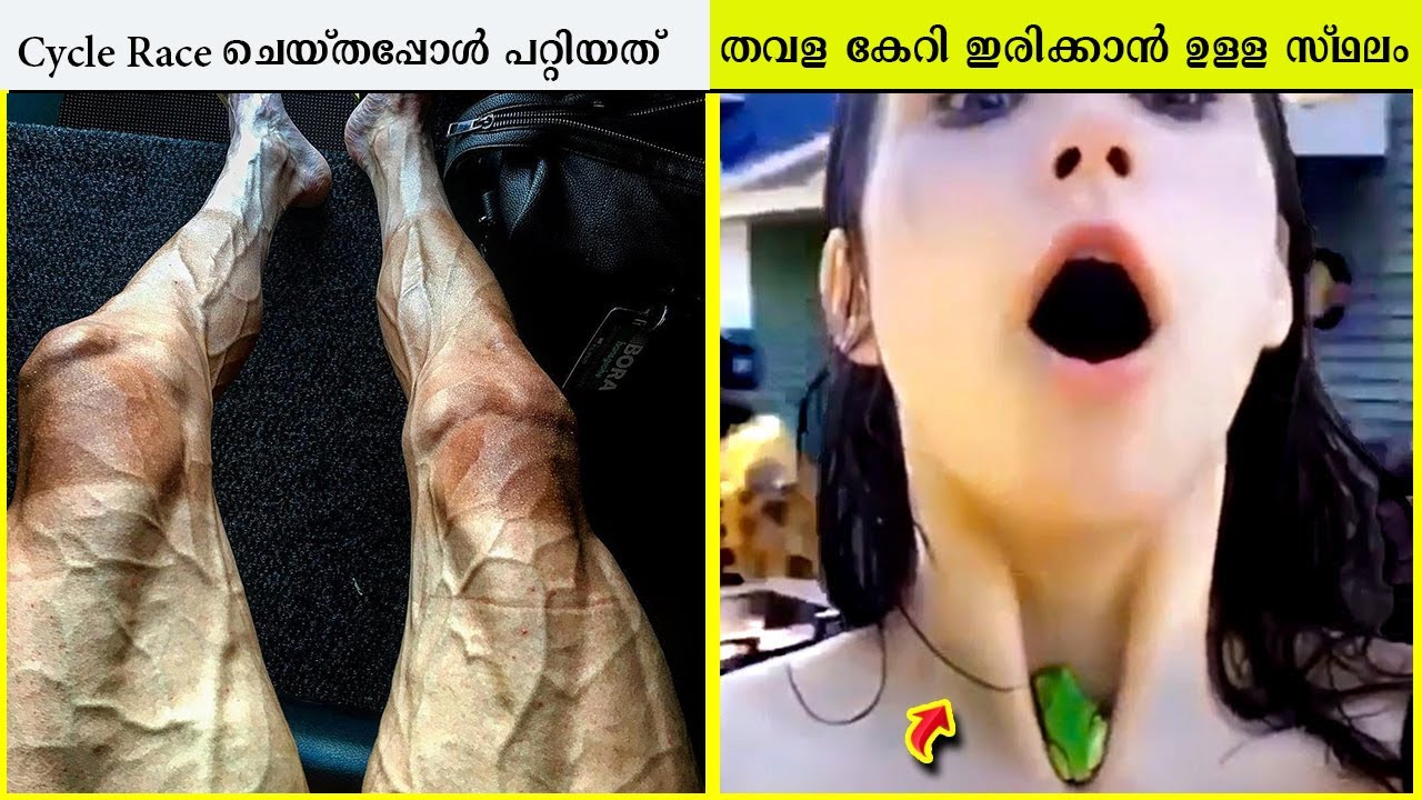 നിങ്ങൾ കേട്ടാൽ വിശ്വസിക്കാത്ത 10 കാര്യങ്ങൾ | അപ്പോൾ കണ്ടു നോക്കേണ്ടി വരും