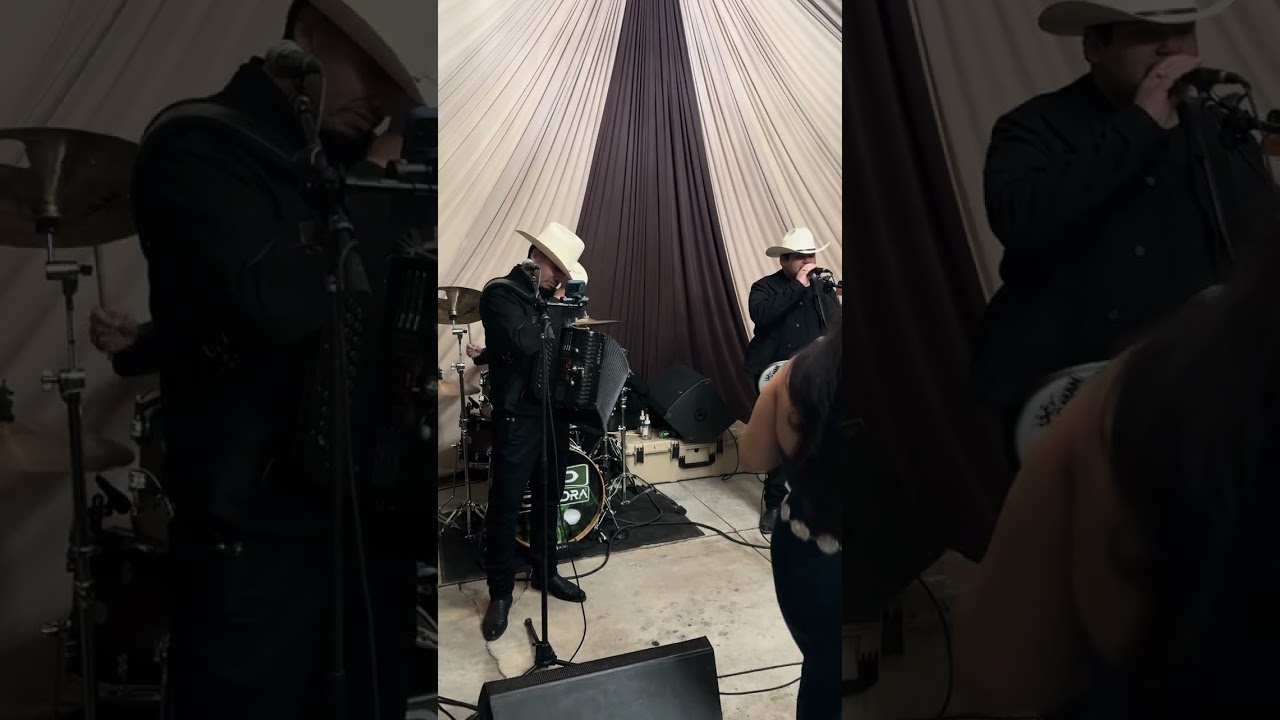 El ondeado, el artista antrax, GC en vivo 