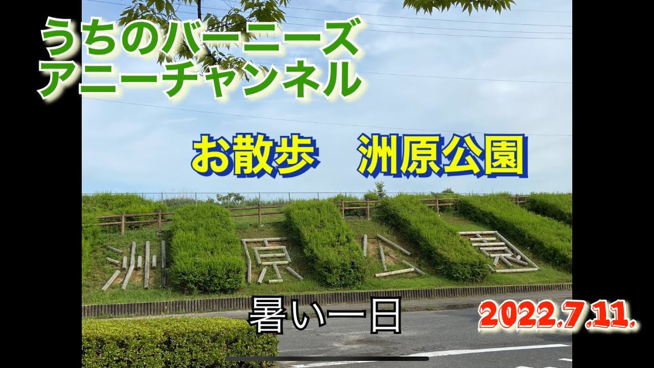 お散歩　洲原公園　暑い一日　2022.7.11.
