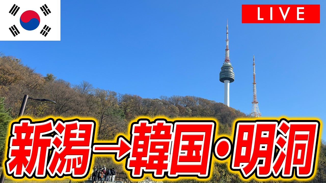 【LIVE】新潟から韓国・明洞へ！新潟空港でもお声がけいただけた〜☺️