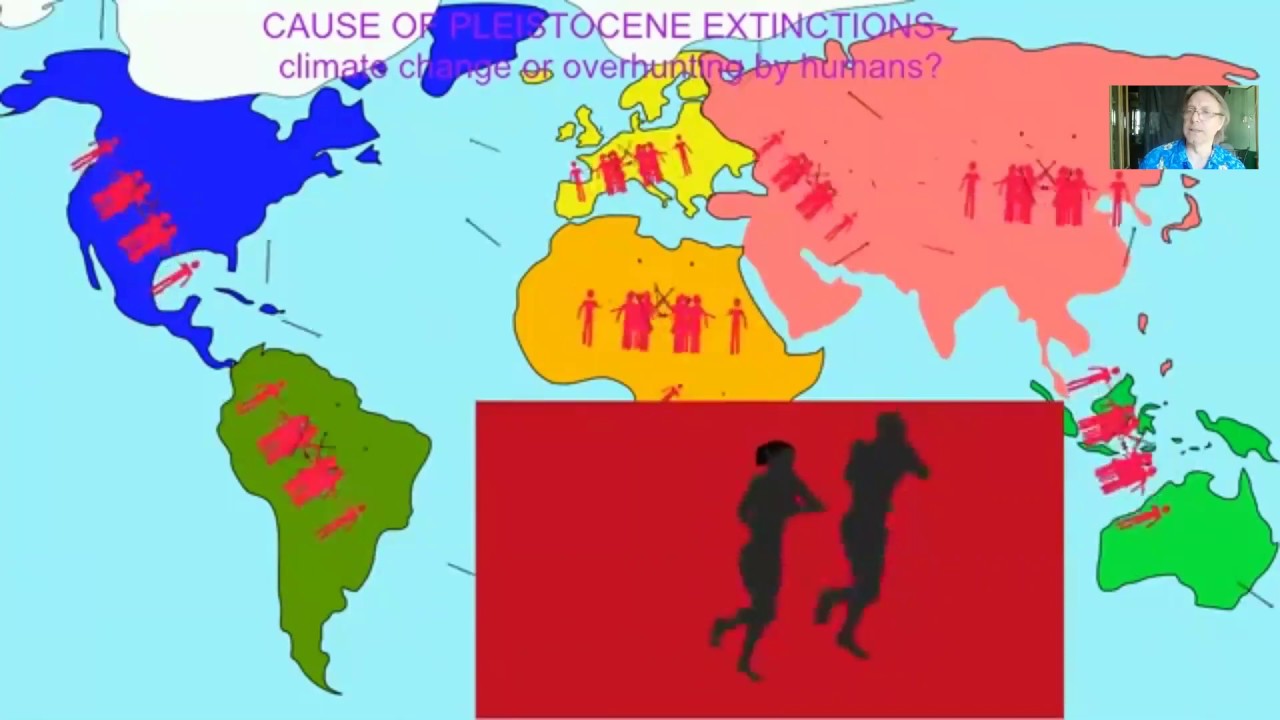 biodiversity and the modern extinction
