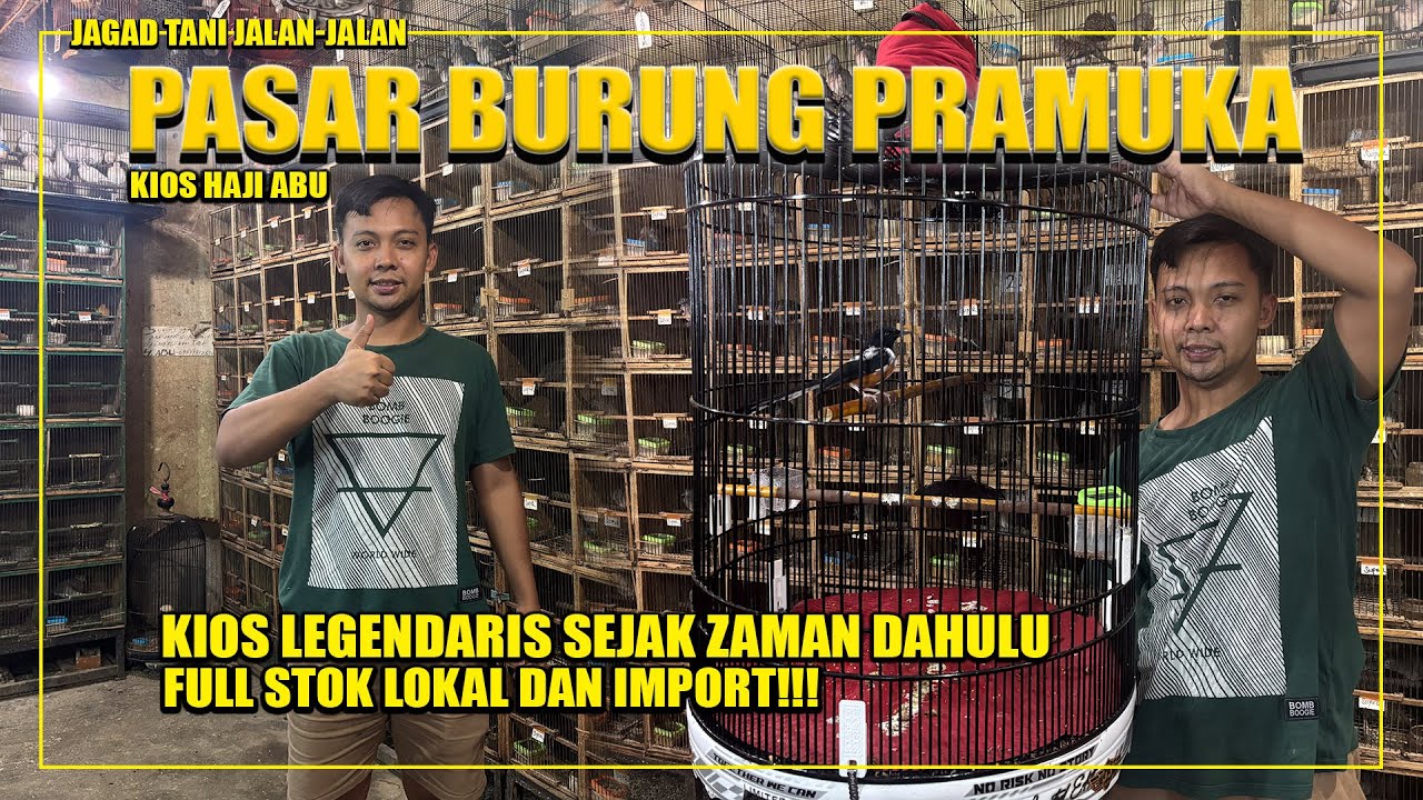 KIOS BURUNG LEGENDARIS DIPASAR BURUNG PRAMUKA, STOKNYA MELIMPAH LOKAL DAN IMPOR