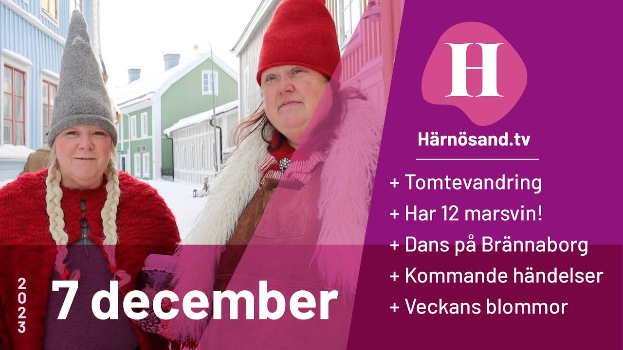 Härnösand.tv - 7 december 2023