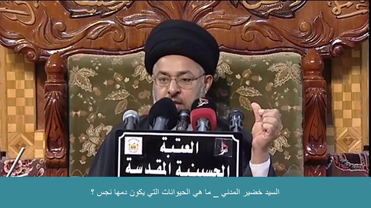 السيد خضير المدني _ ما هي الحيوانات التي يكون دمها نجس ؟