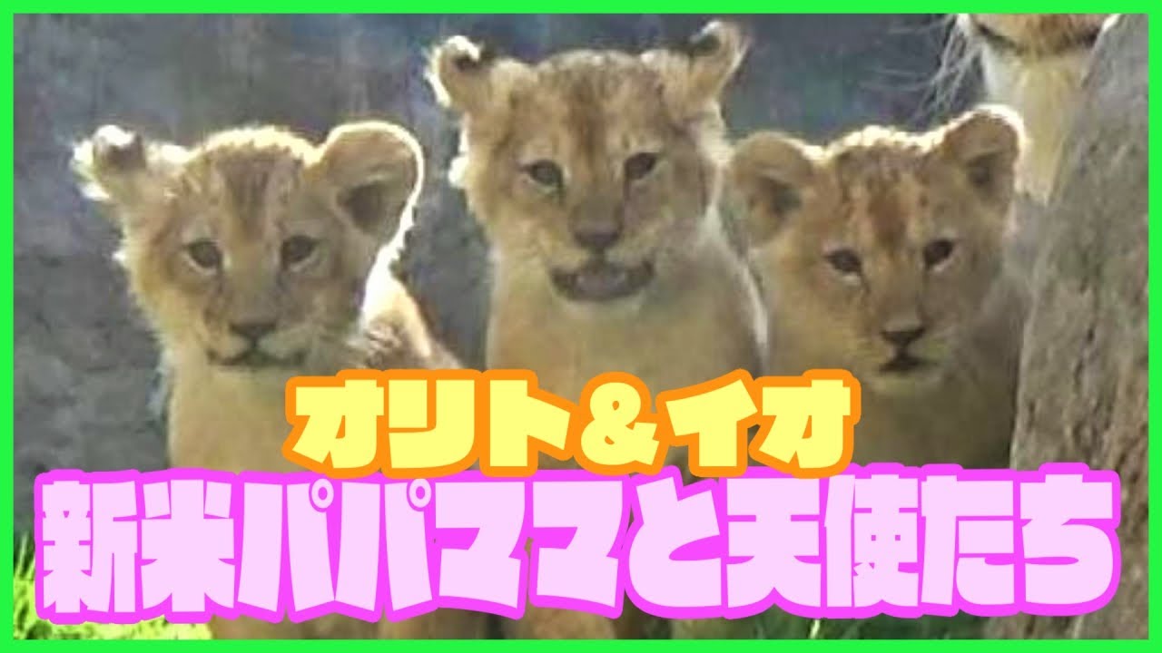 【オリト＆イオ】新米パパママと天使たち【公開初日】