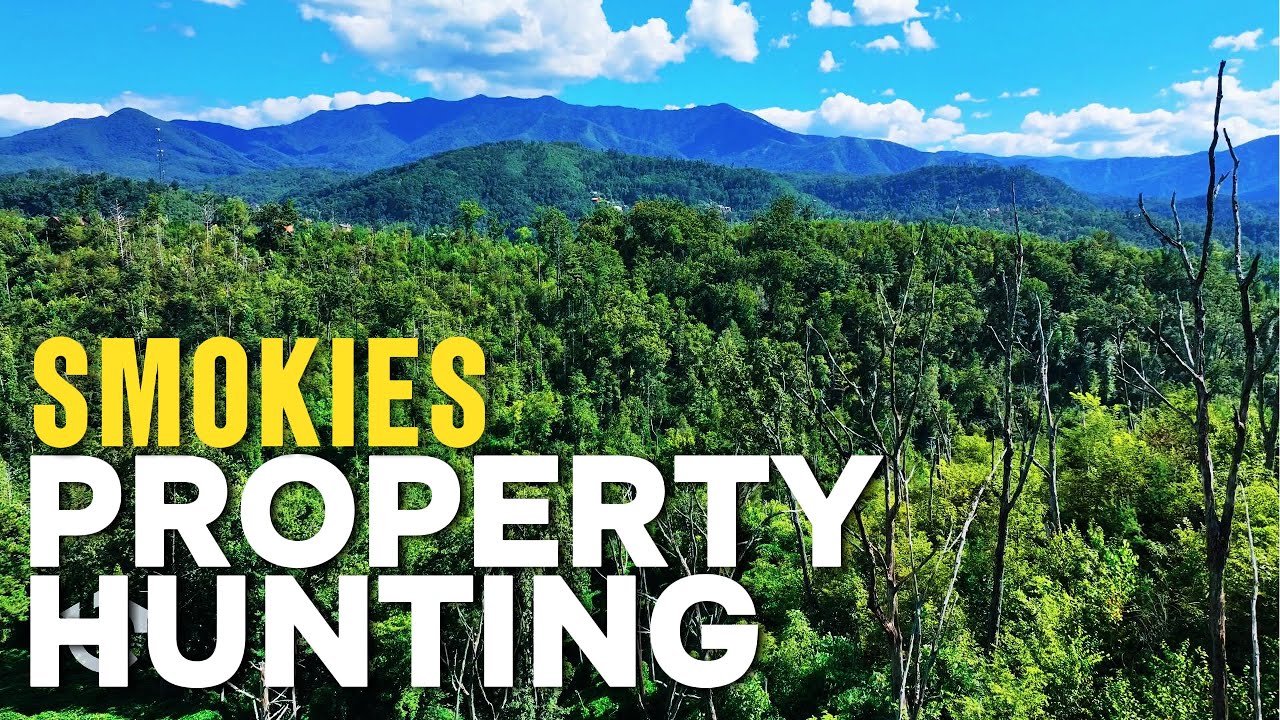 Tiny House Property Hunting in the Smokies  Insider Tips for Complex Land Builds