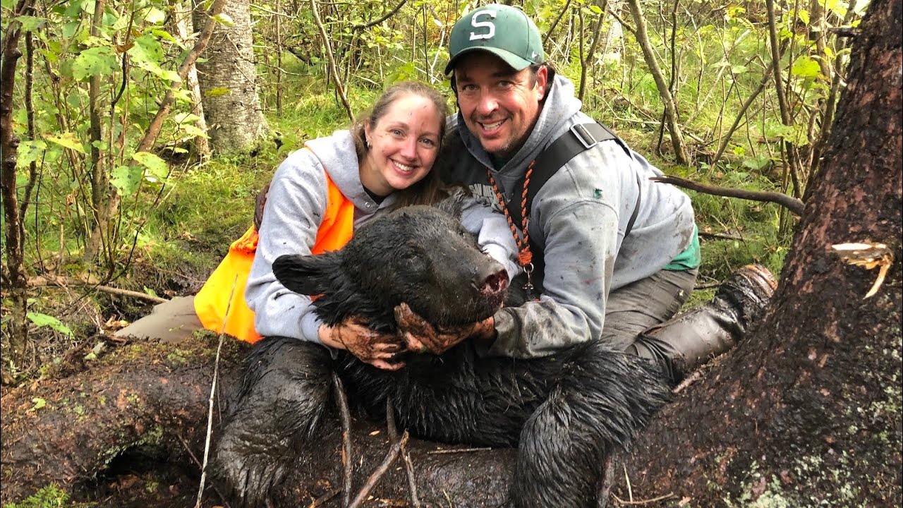 Bear Hunt with Hounds in Northern Michigan